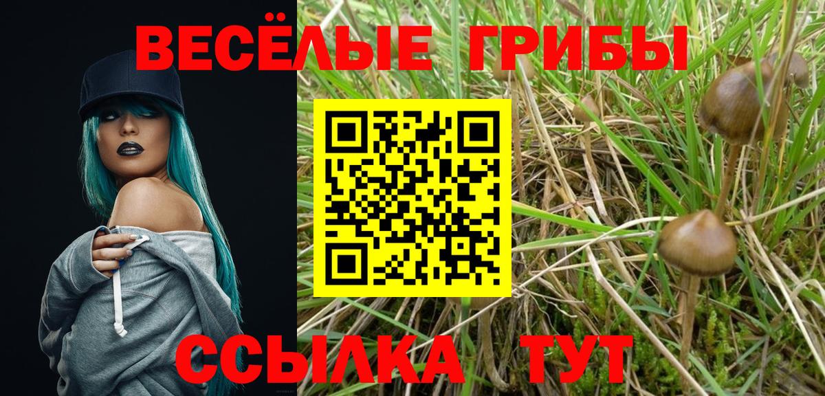 Еманжелинск  Псилоцибиновые грибы Psilocybine cubensis  Вход с VPN 